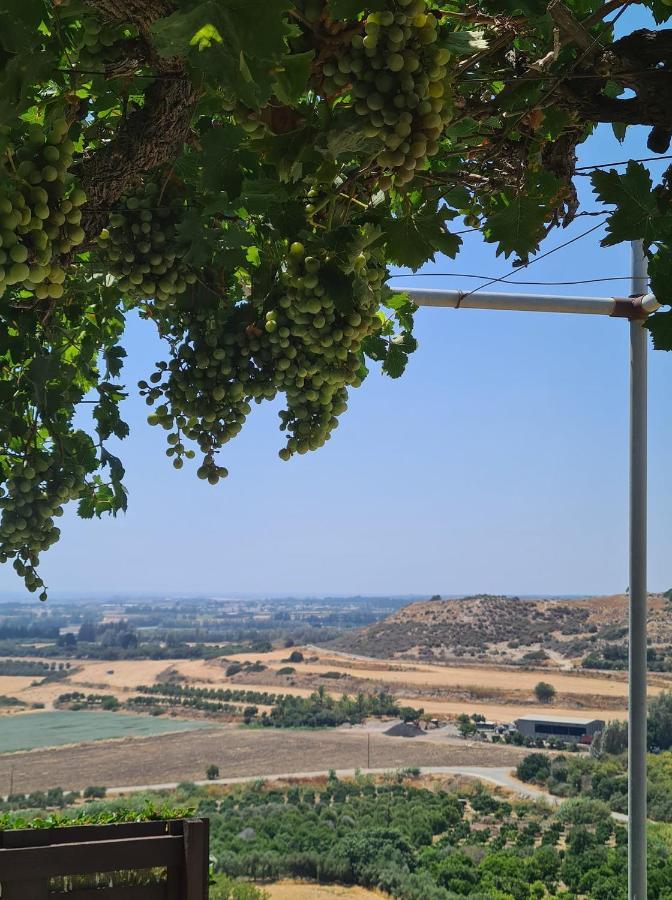 Arodafni House. Unique Views And Amazing Sunsets. Kouklia Exterior foto