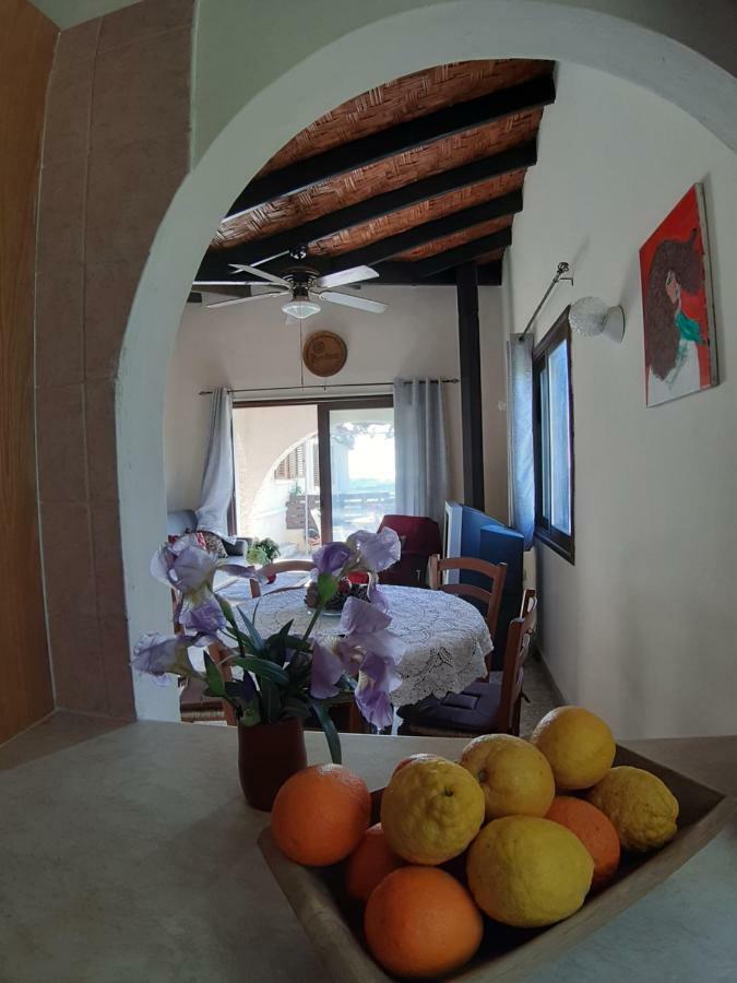 Arodafni House. Unique Views And Amazing Sunsets. Kouklia Exterior foto